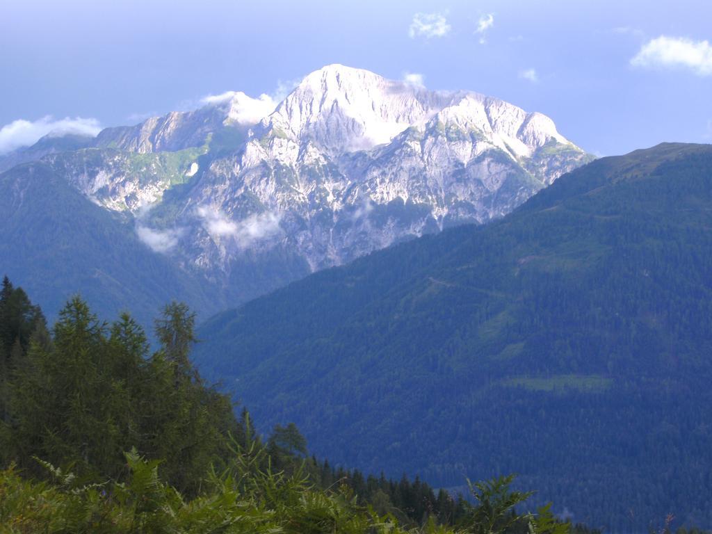 Gasthof Zum Loewen Sankt Jakob im Lesachtal Екстер'єр фото