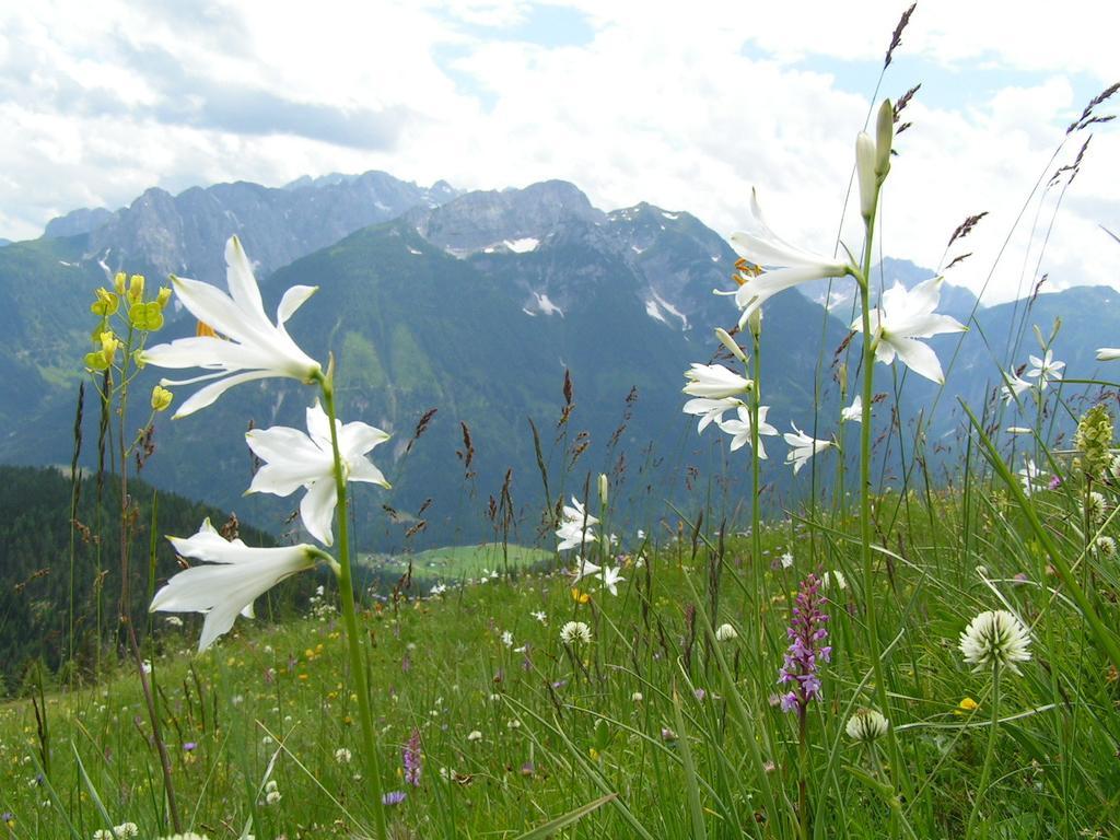 Gasthof Zum Loewen Sankt Jakob im Lesachtal Екстер'єр фото