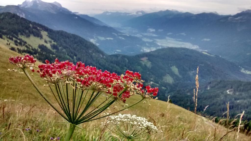 Gasthof Zum Loewen Sankt Jakob im Lesachtal Екстер'єр фото