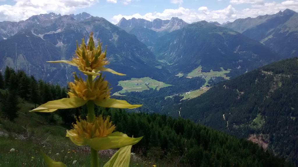 Gasthof Zum Loewen Sankt Jakob im Lesachtal Екстер'єр фото