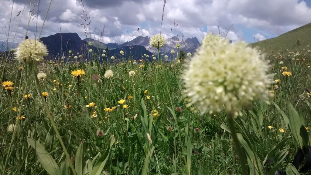 Gasthof Zum Loewen Sankt Jakob im Lesachtal Екстер'єр фото