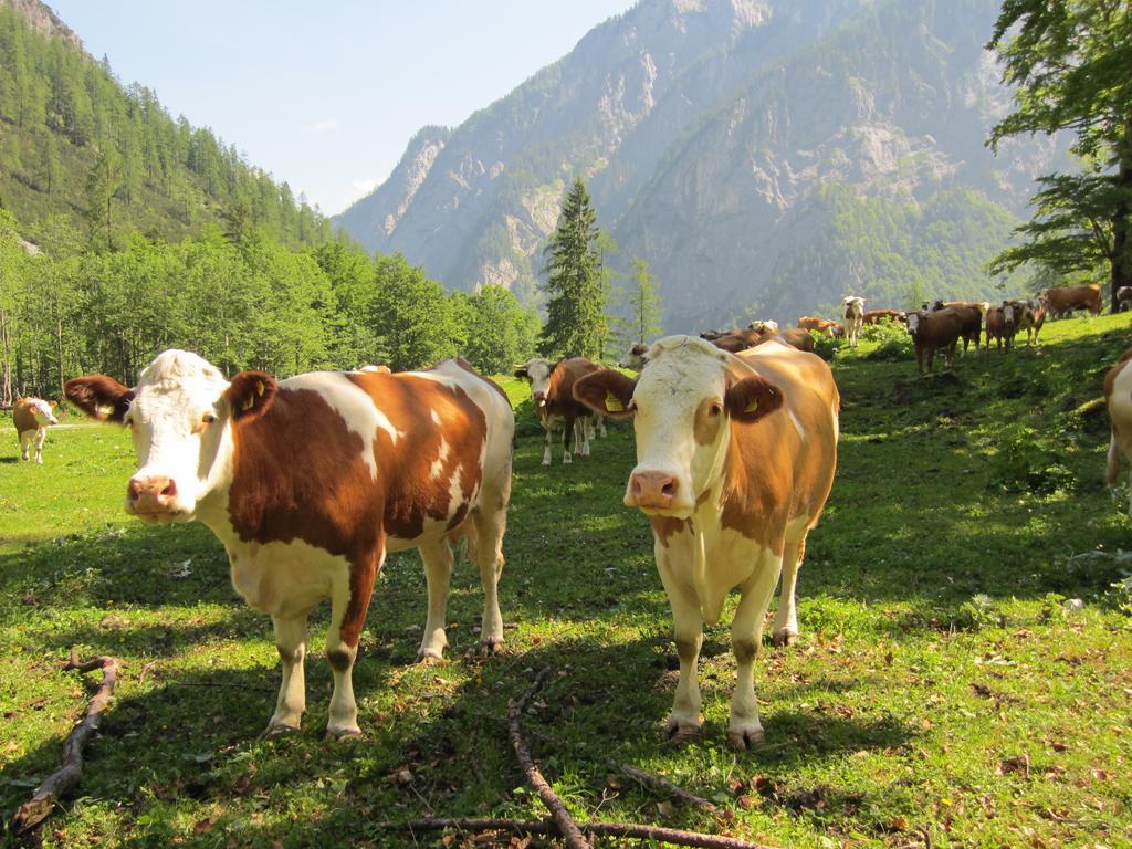 Gasthof Zum Loewen Sankt Jakob im Lesachtal Екстер'єр фото