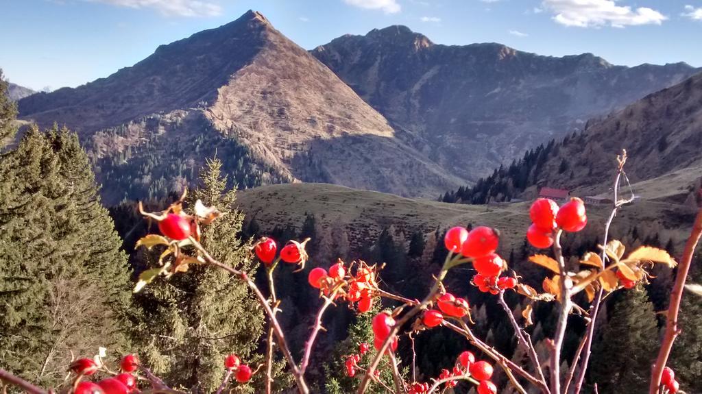 Gasthof Zum Loewen Sankt Jakob im Lesachtal Екстер'єр фото